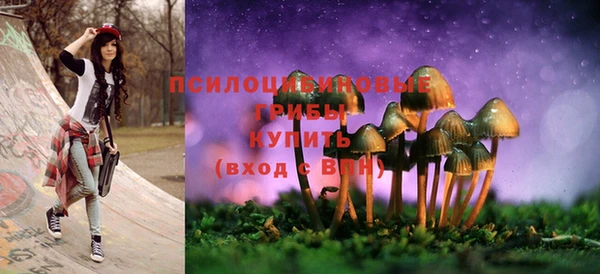 spice Армянск