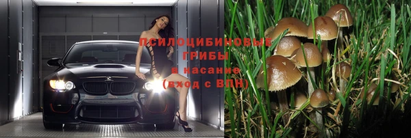 мет Аркадак