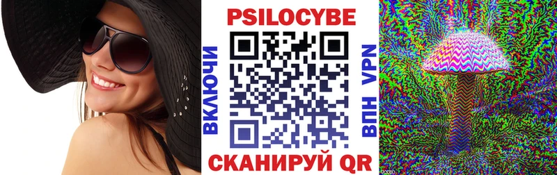Псилоцибиновые грибы мицелий  Барыш 